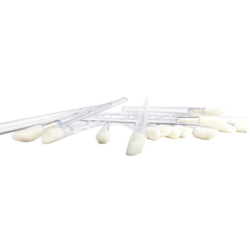 Brushes: Disposable Lip Brushes - SofTap