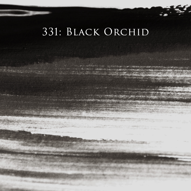 331 - Black Orchid