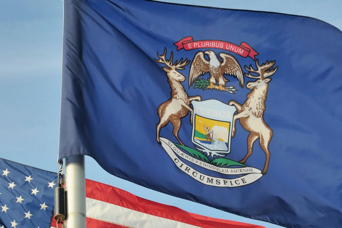 Michigan’s New Body Art Law: What PMU Artists Need to Know About Anesthetics