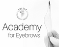 SofTap Eyebrow Academy