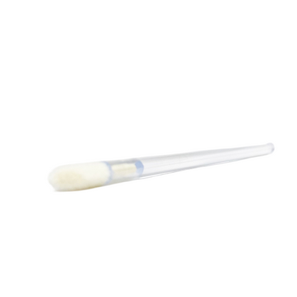 Brushes: Disposable Lip Brushes - SofTap