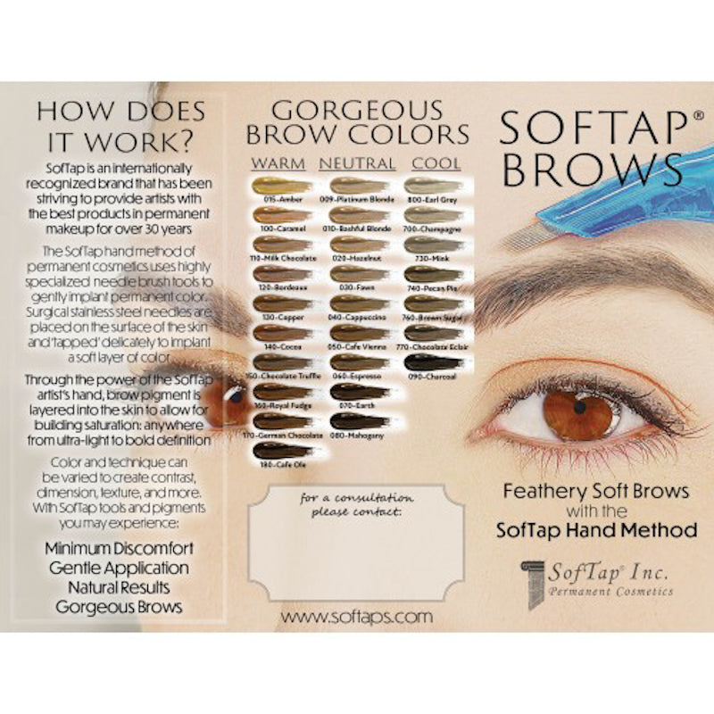 Softap Flowchart Brow Brochure – SofTap