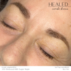 Iconic SofTap Pigment Sets - SofTap