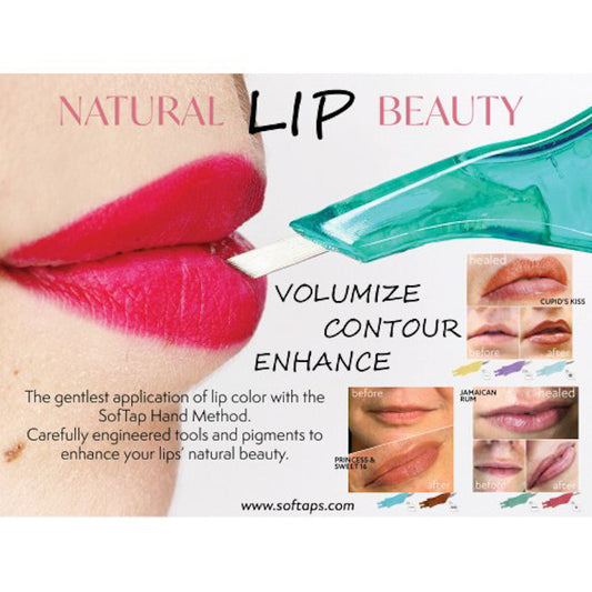 NEW! Poster: Before & After Lip