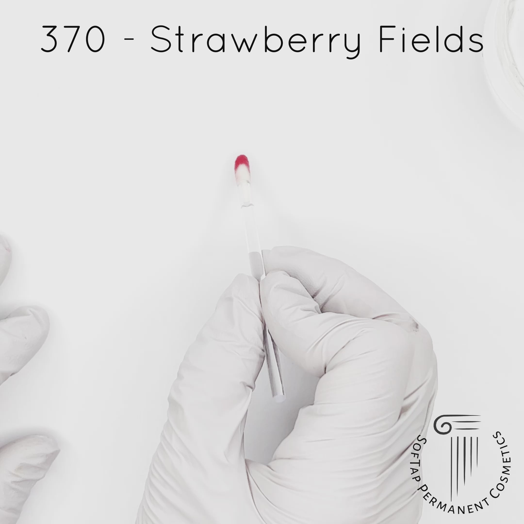 Iconic 370 – Strawberry Fields PMU Pigment