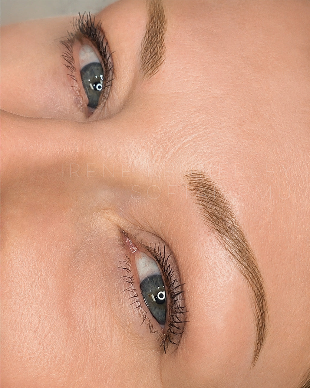 Close-up of softap permanent makeup blonde combo powder nano micro hairstroke brows